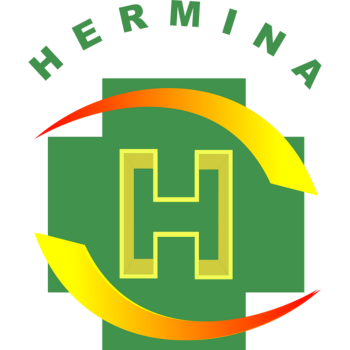 Hermina Hospital Group